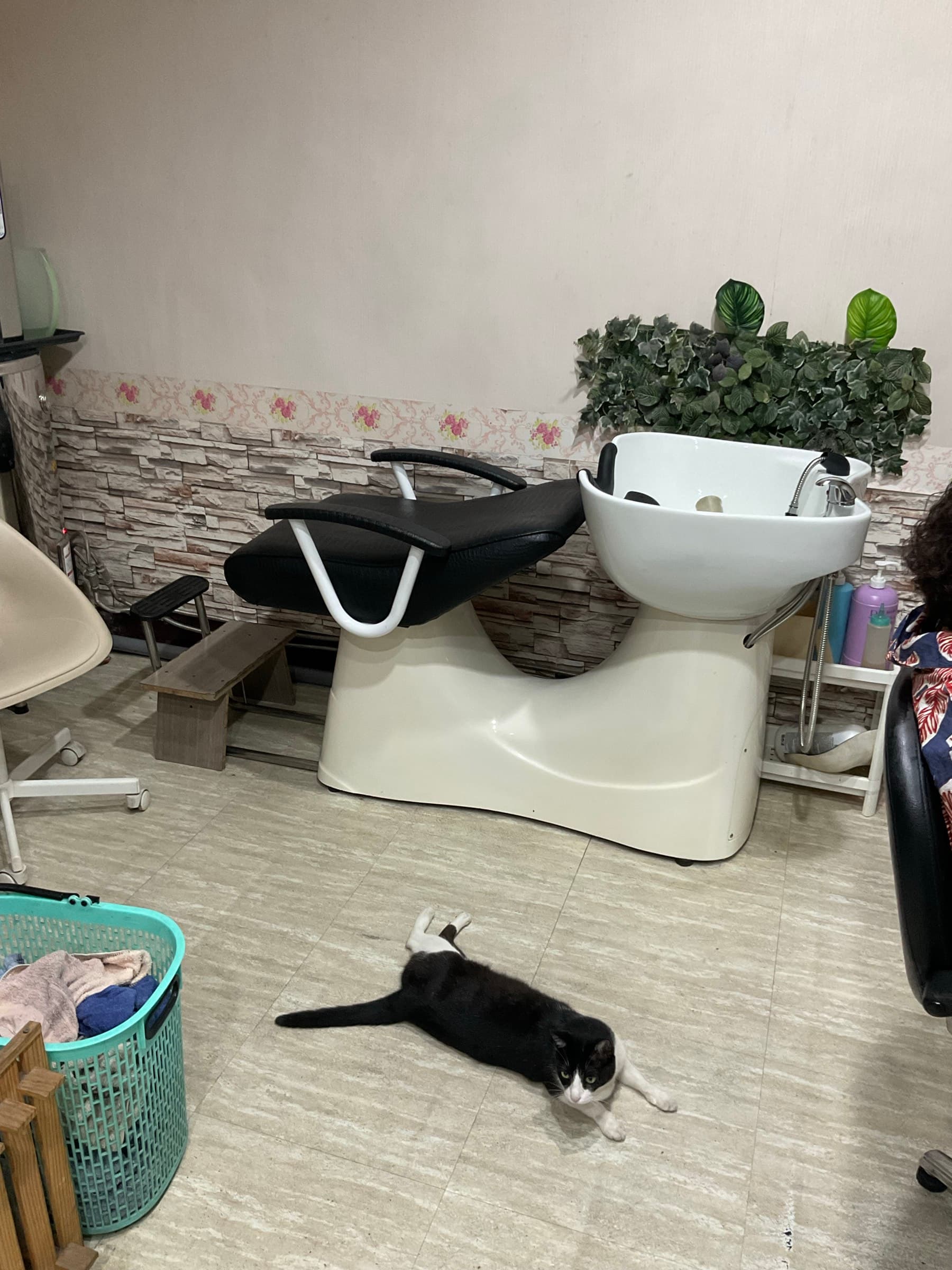 南投市區美髮工作室 設備照片 3